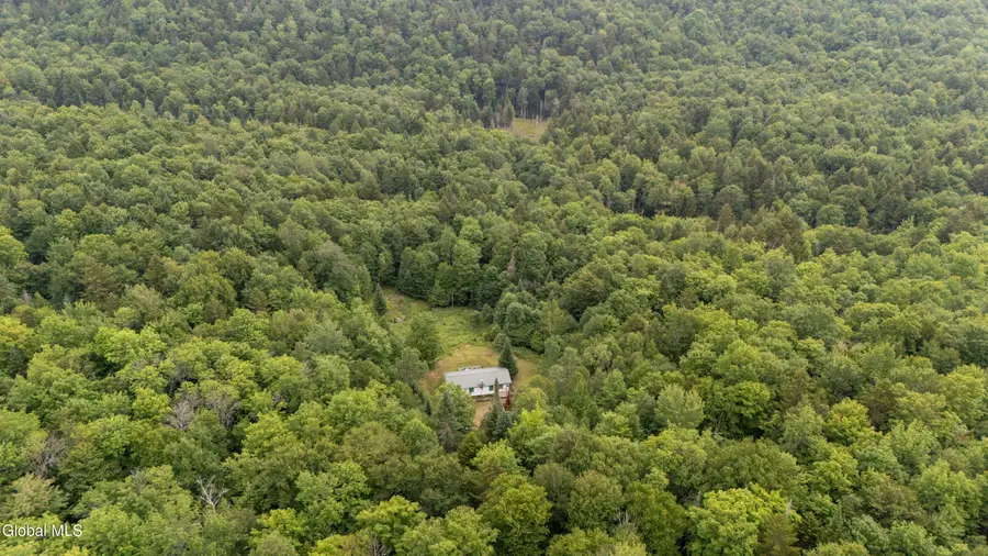 724 Bartman Road, Johnsburg, NY 12811 - #3