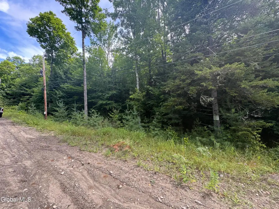 L52 Iroquois Trail, Johnsburg, NY 12853 - #2