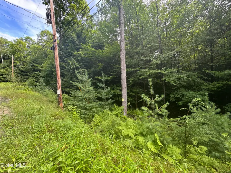 L52 Iroquois Trail, Johnsburg, NY 12853 - #3