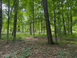 5 Frasier Road, Greenfield, NY 12833