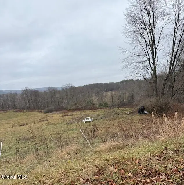 L11 Sheldon Road, Hebron, NY 12832 - #3