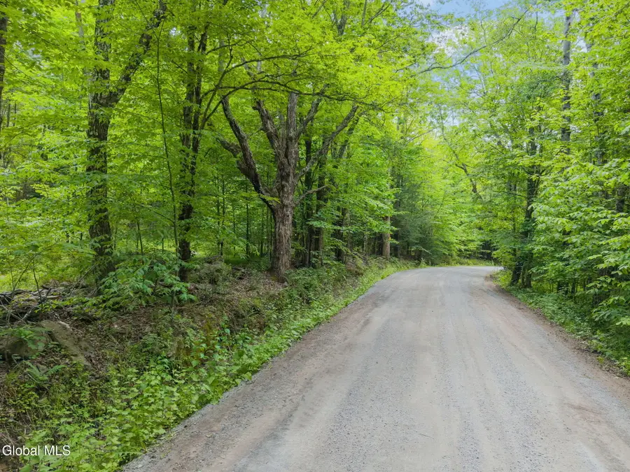 114 Stonewall Path & Brand Rd. Path, Gilboa, NY 12076 - #3