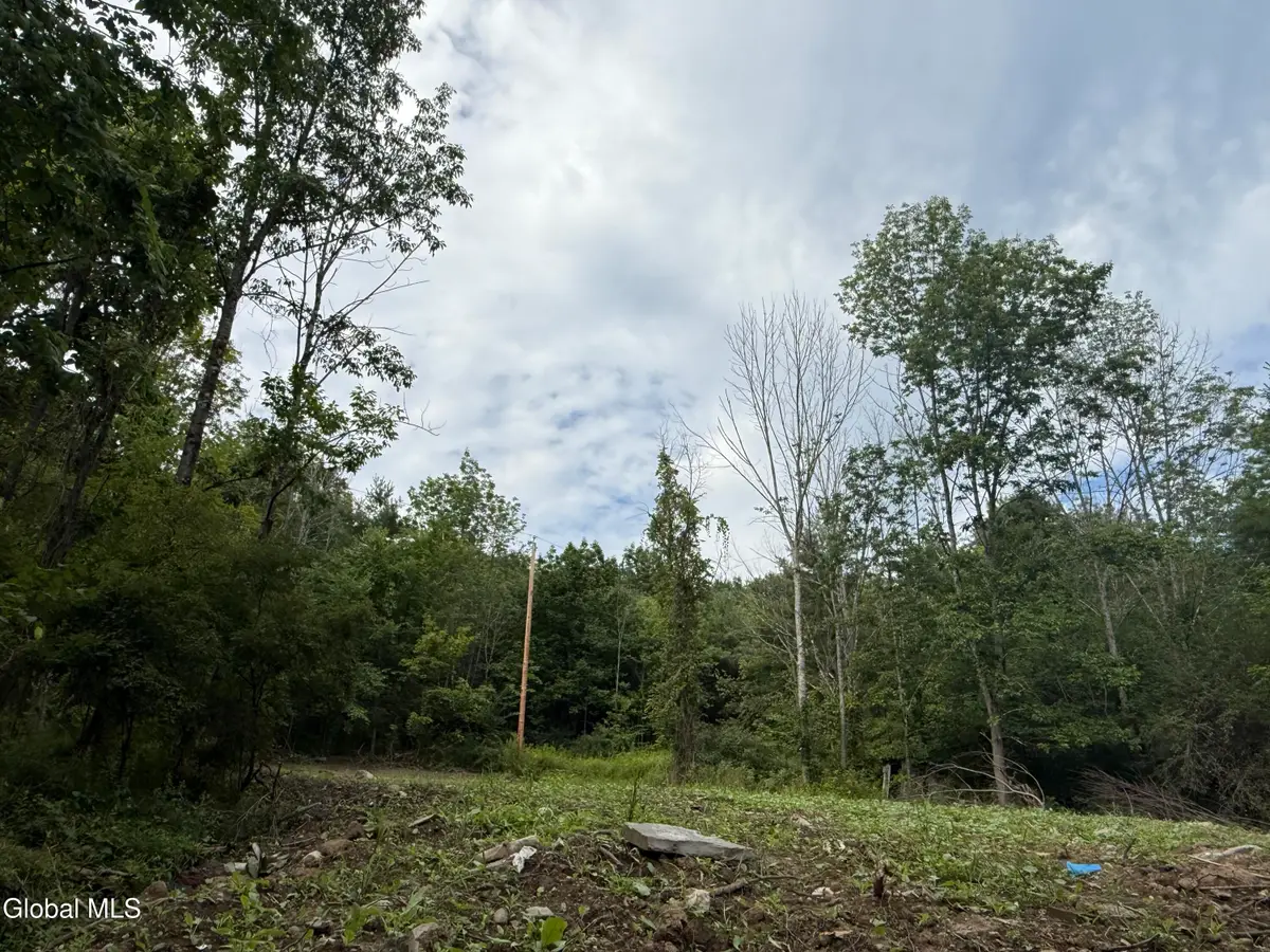 1536 North Road, Blenheim, NY 12131 - #1