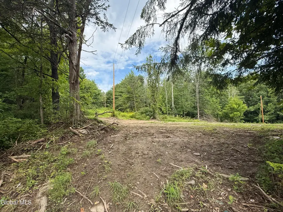 1536 North Road, Blenheim, NY 12131 - #2