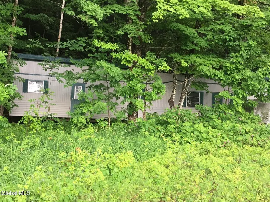 16 Dibble Hill Road, Thurman, NY 12885 - #2
