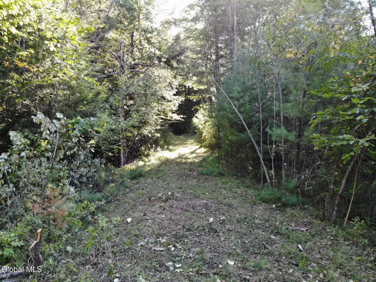 L8 Wrights Farm Road, Bolton Landing, NY 12814 - #1