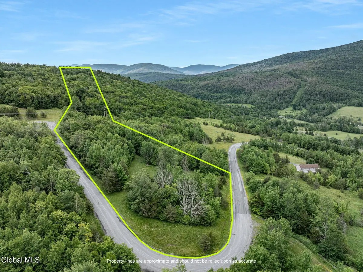 L41 Overlook Drive, Lexington, NY 12452 - #1