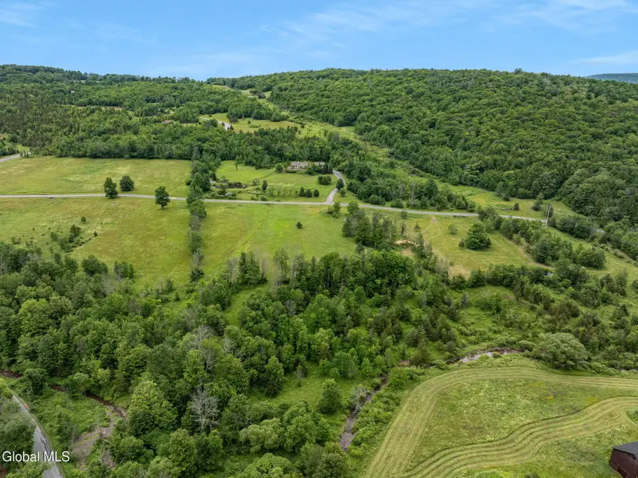 L31 Deer Lane, Lexington, NY 12452 - #3
