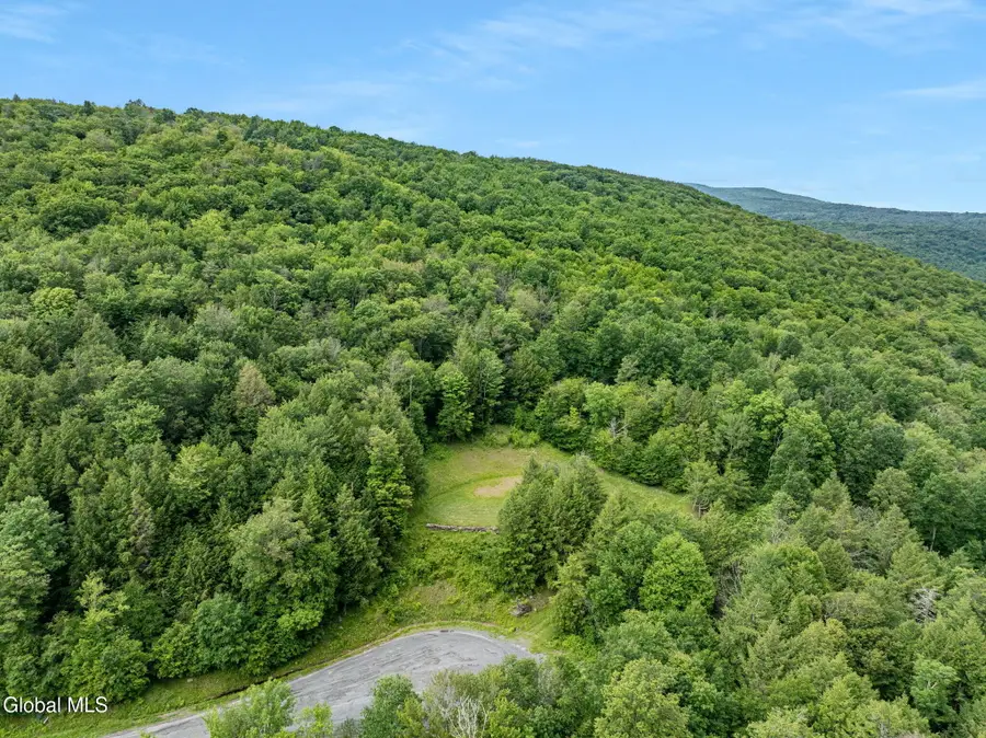L28.2 Deer Lane, Lexington, NY 12452 - #3