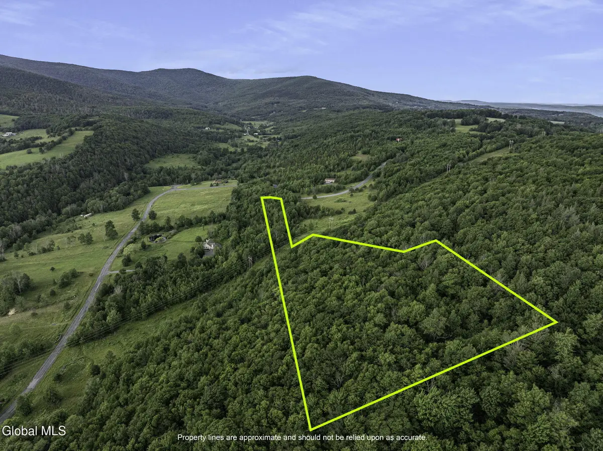 L20.2 Overlook Drive, Lexington, NY 12452 - #1