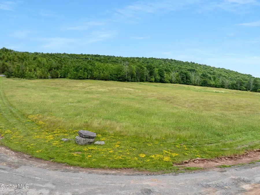 L10 Overlook Drive, Lexington, NY 12452 - #3