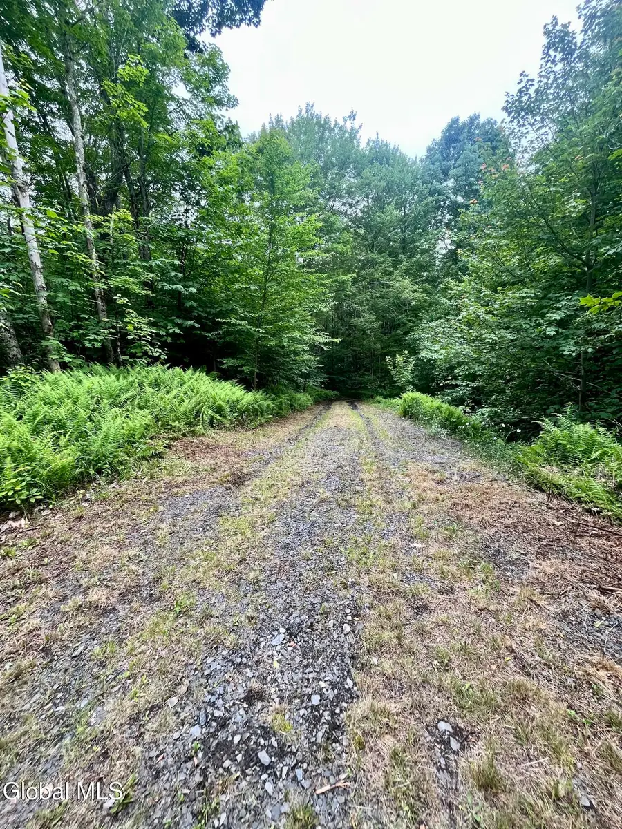 2285 State Route 10, Jefferson, NY 12093 - #2