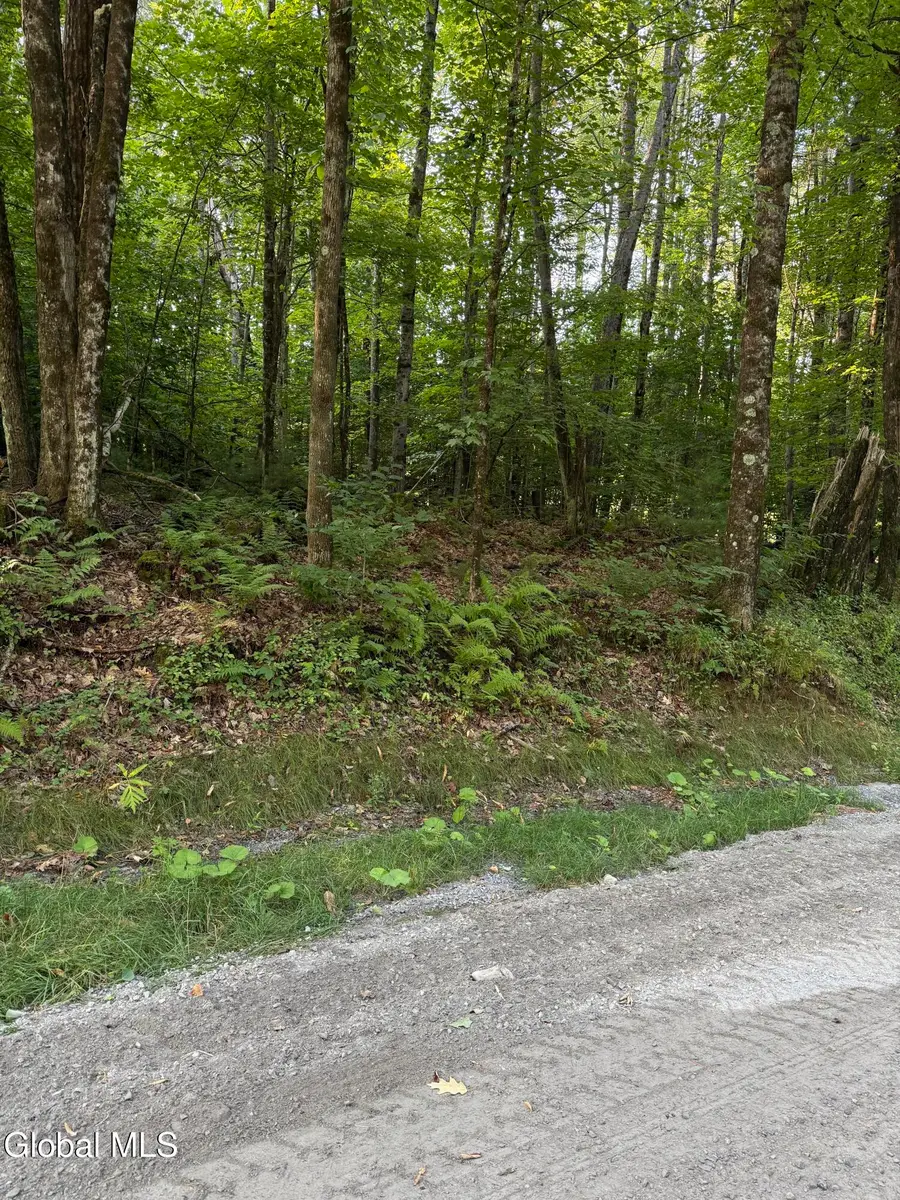 362 Dickinson Hill Road, Diamond Point, NY 12824 - #2