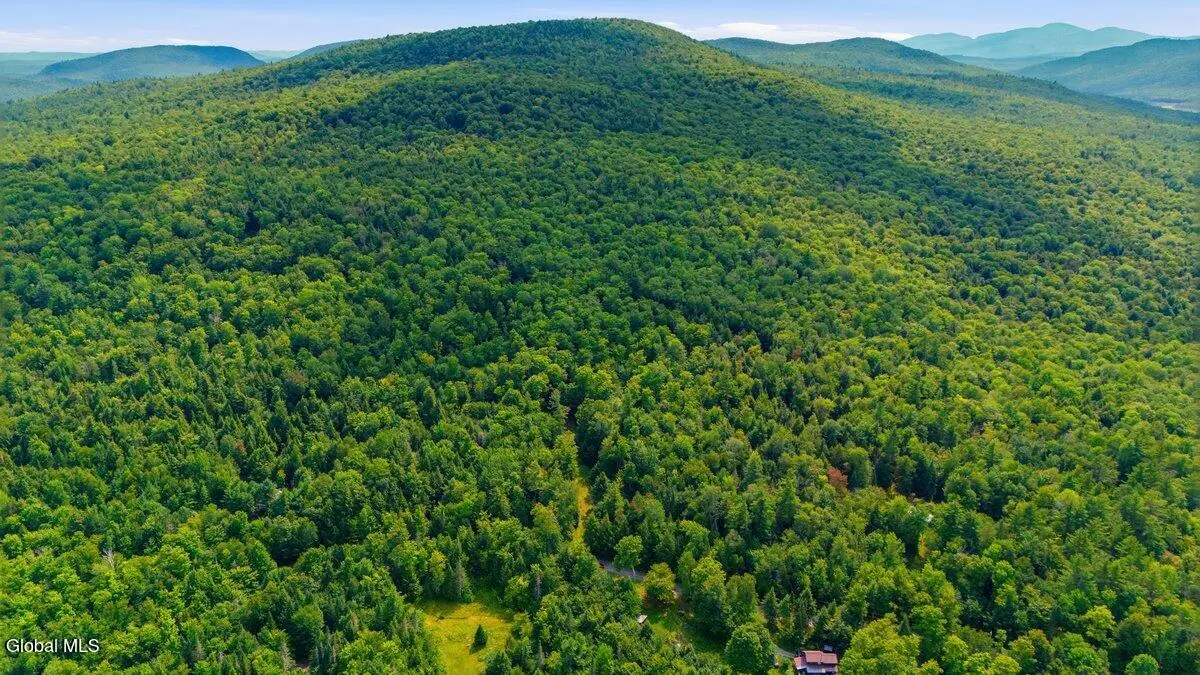 L59 Horseshoe Pond Road, Schroon, NY 12870 - #1