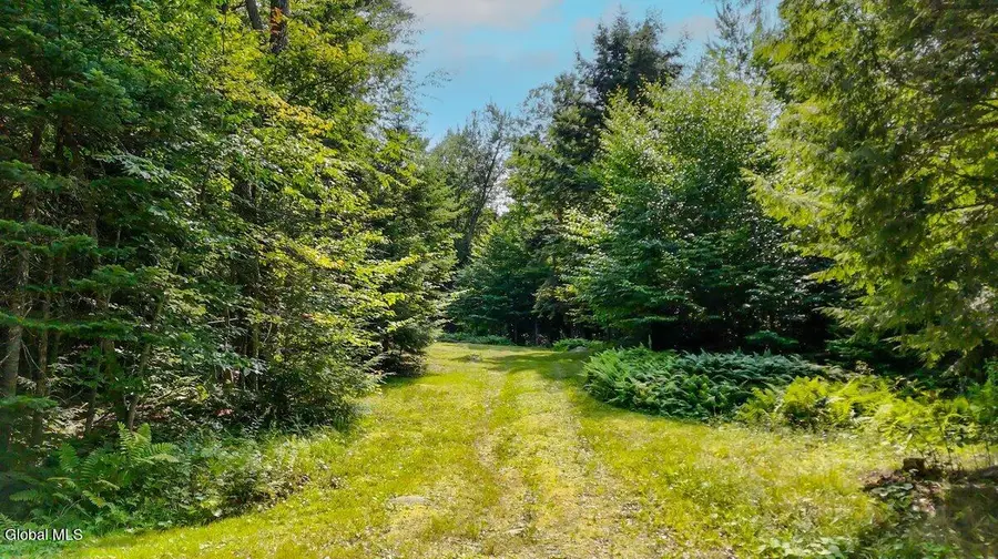 L59 Horseshoe Pond Road, Schroon, NY 12870 - #2