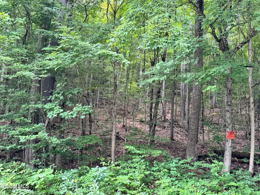 154 County Route 60, Cambridge, NY 12816 - #3