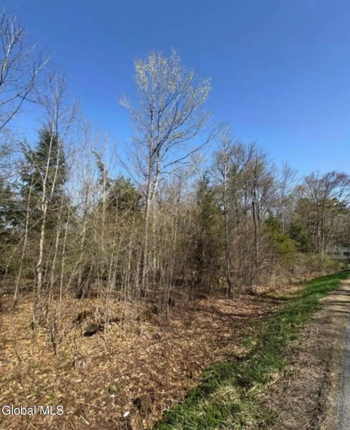 522 N Creek Road, Greenfield, NY 12833 - #1