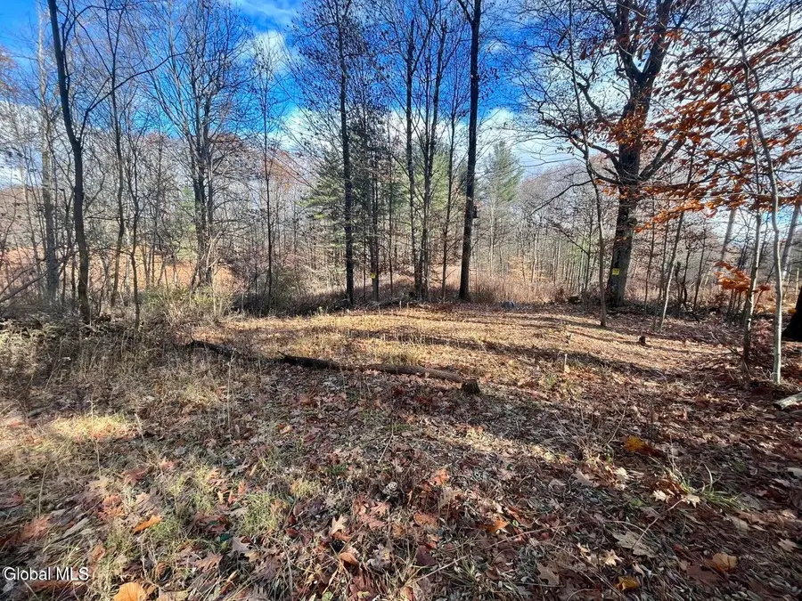 2-38.11 Spring Avenue, Gloversville, NY 12078 - #2
