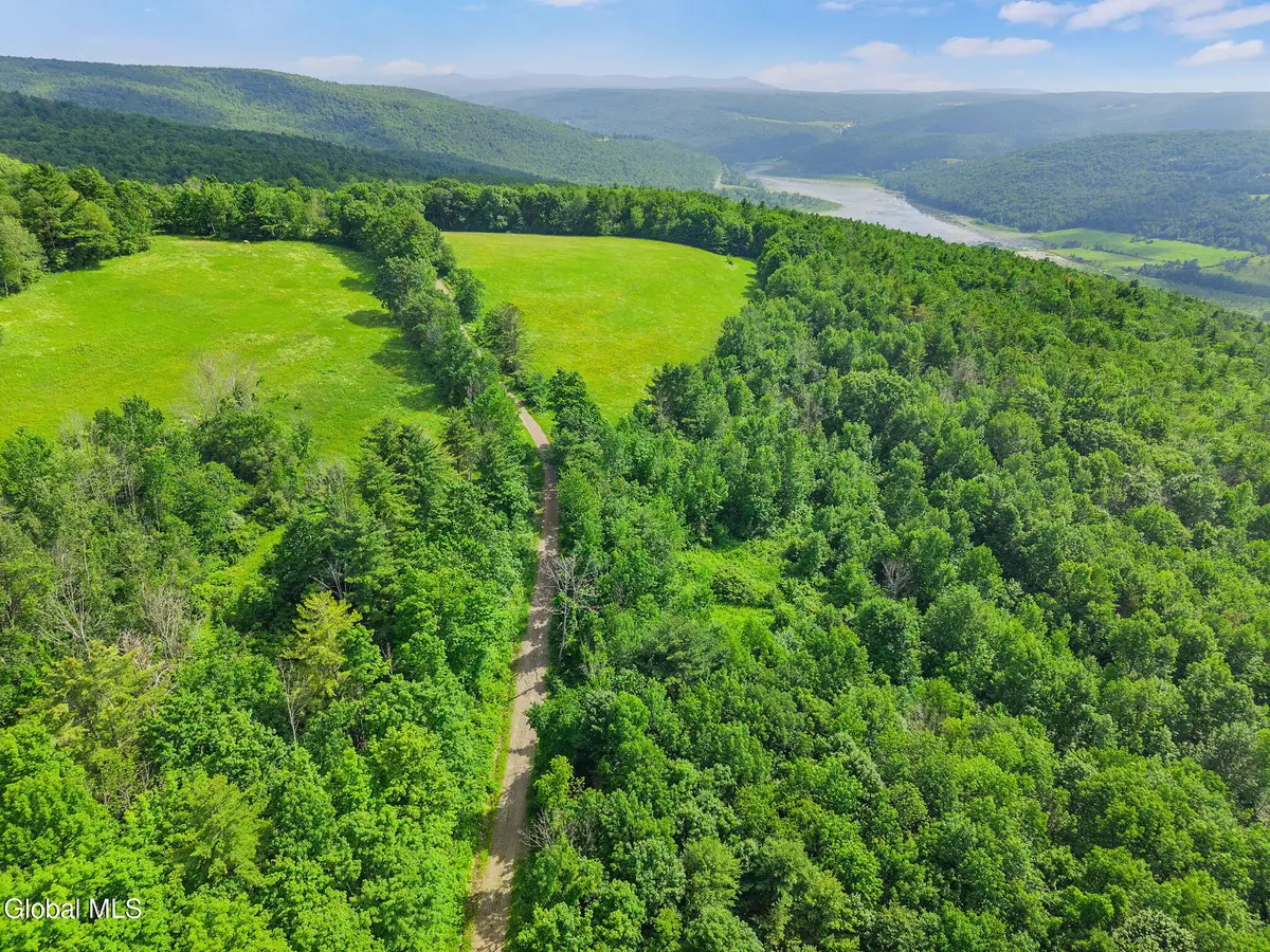 L9.2 Debar Hill Road, Broome, NY 12122 - #1