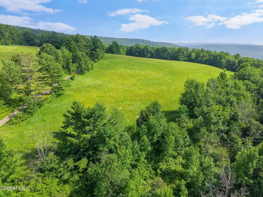 L9.2 Debar Hill Road, Broome, NY 12122 - #3