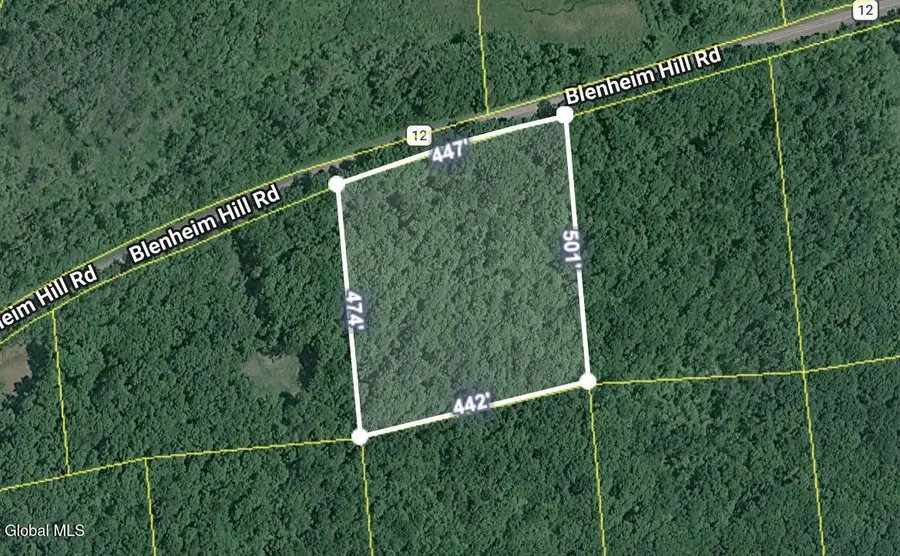 L2.27 Blenheim Hill Road, Blenheim, NY 12131 - #3