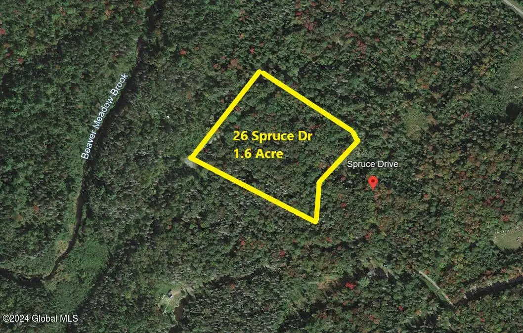 26 Spruce Drive, Indian Lake, NY 12842 - #1