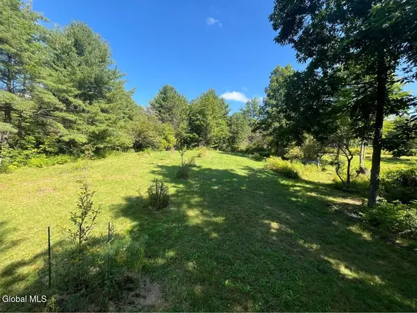 192 Irish Hill Road, Berne, NY 12059