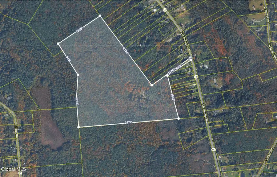 913 Sacandaga Road, Glenville, NY 12302 - #2