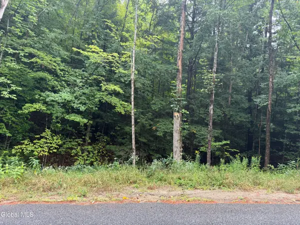 00.00 Parker Cross Road, Thurman, NY 12885