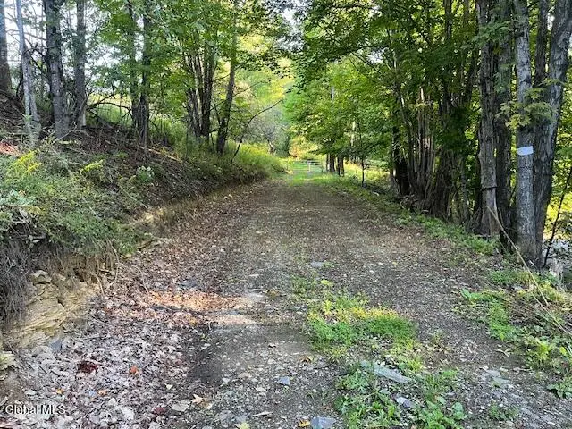 L1.12 Rossman Fly Road, Summit, NY 12175 - #1