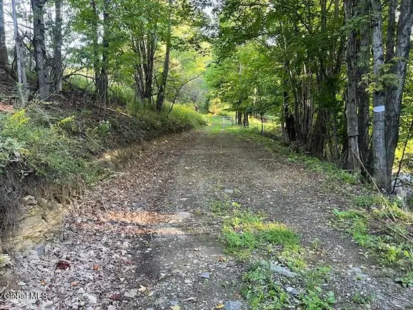 L1.12 Rossman Fly Road, Summit, NY 12175