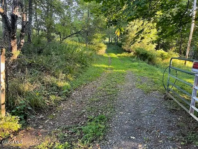 L1.12 Rossman Fly Road, Summit, NY 12175 - #2
