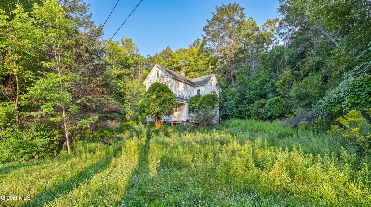 775 Red Kill Road, Roxbury, NY 12474 - #1