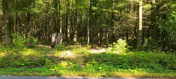 395 Cook Road, Essex, NY 12936
