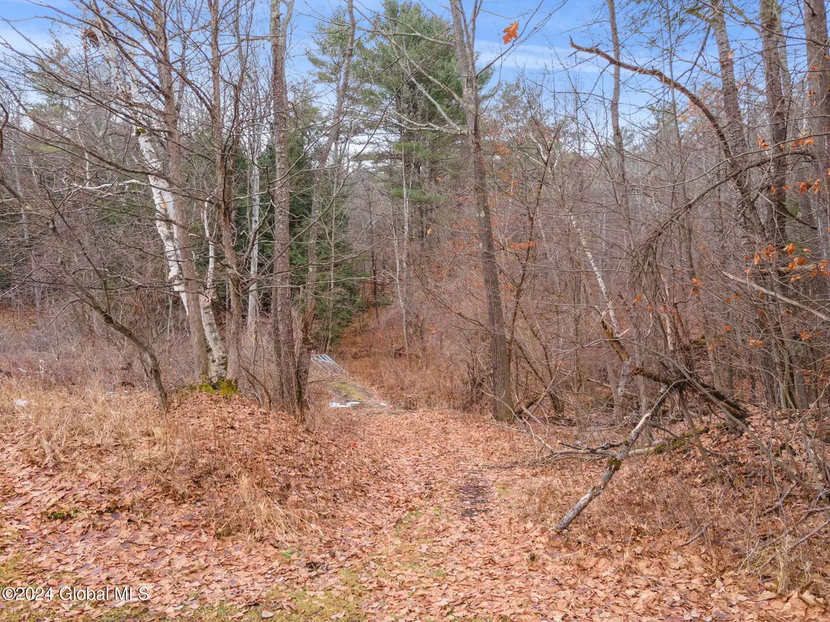258 Engle Road, Schoharie, NY 12157 - #1