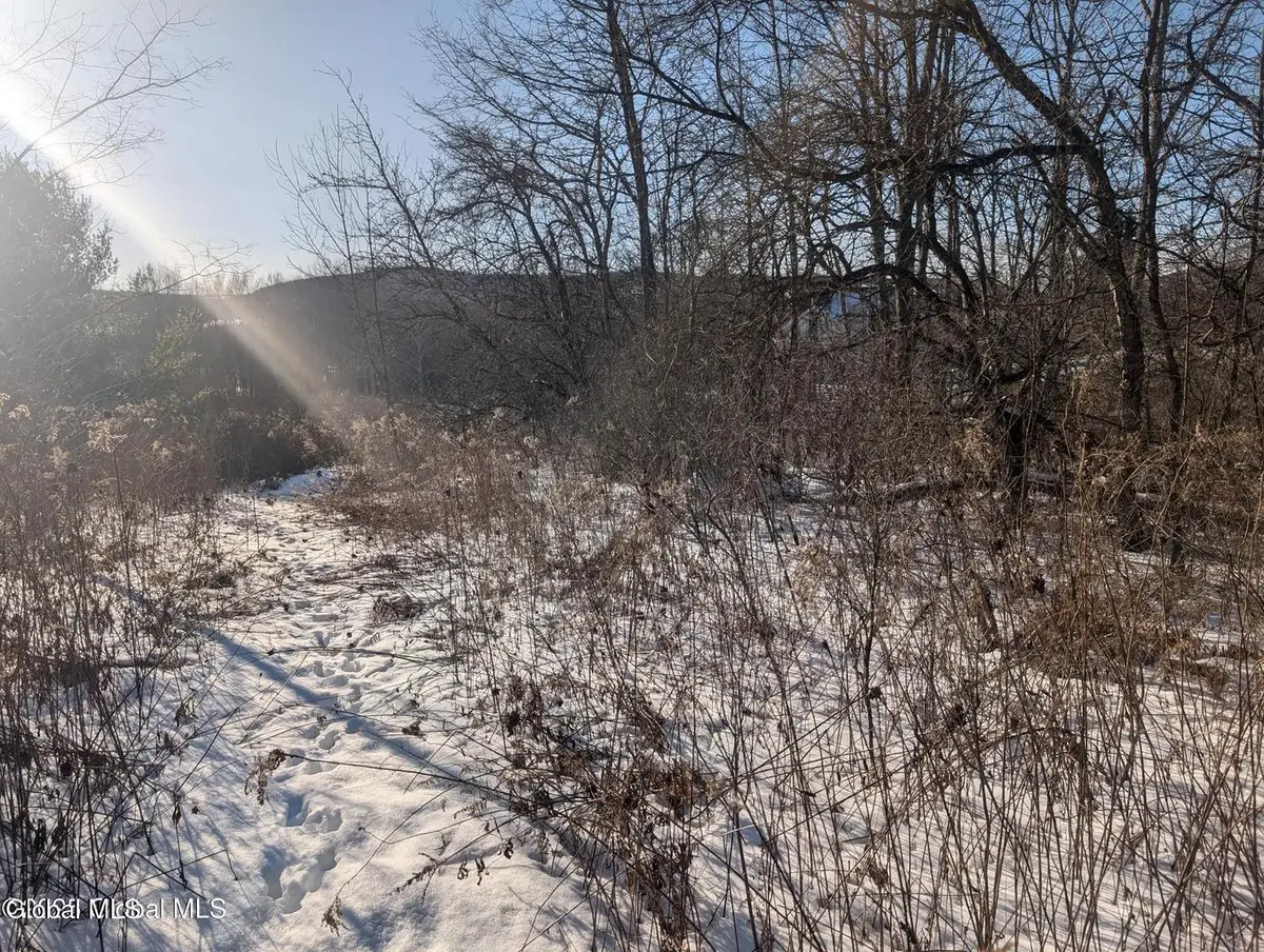 L.9 Mountain View Way, Hoosick, NY 12090 - #1