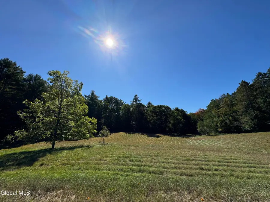 71 Lanfear Road, Stony Creek, NY 12878 - #2