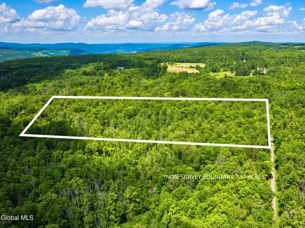 L4.112 Anderson Road, Middleburgh, NY 12122