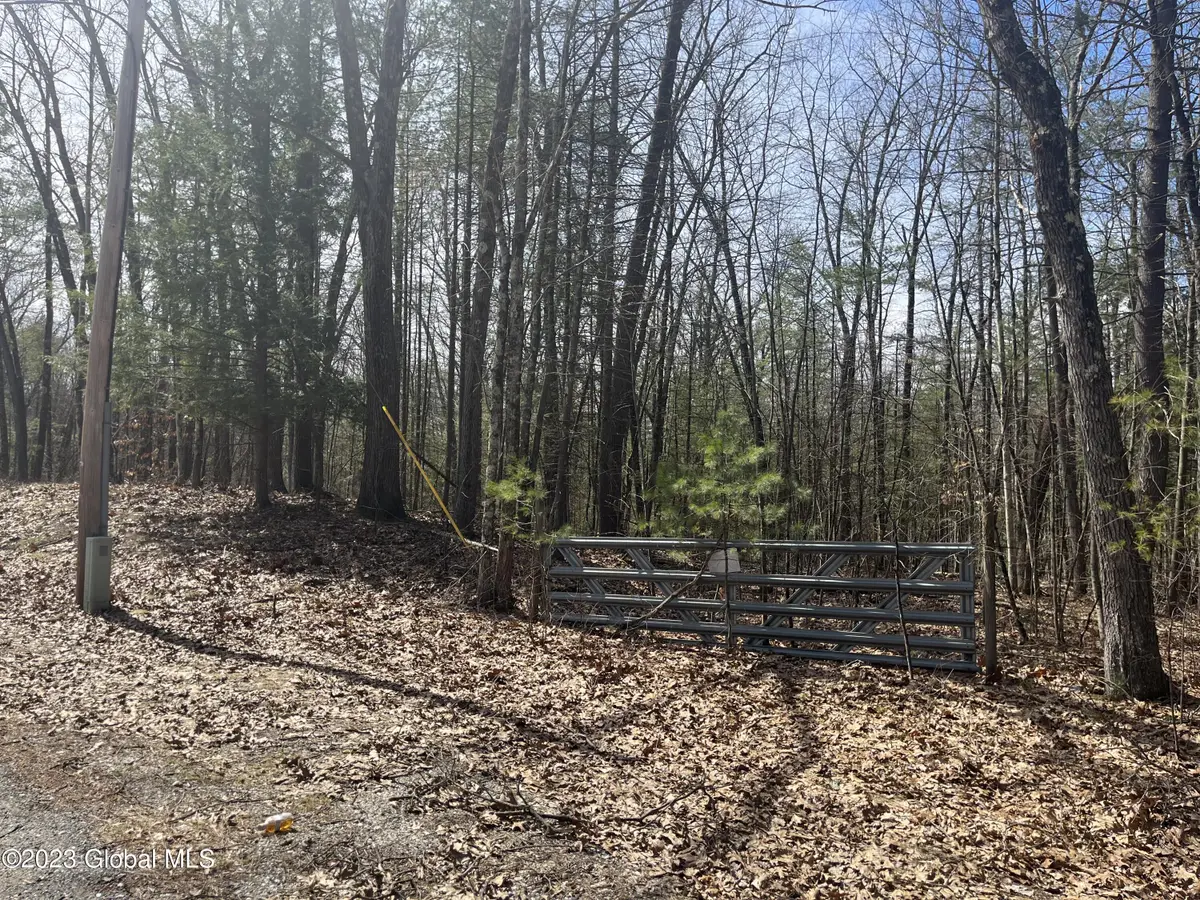 L19.22 Homestead Road, Northumberland, NY 12866 - #1