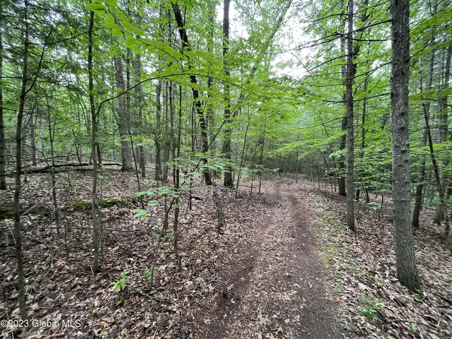 L19.22 Homestead Road, Northumberland, NY 12866 - #2