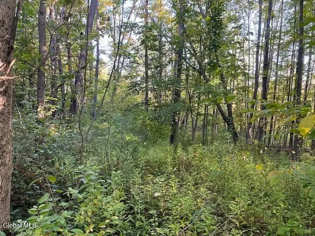 L16.111 Gordon Road, Sloansville, NY 12160 - #2