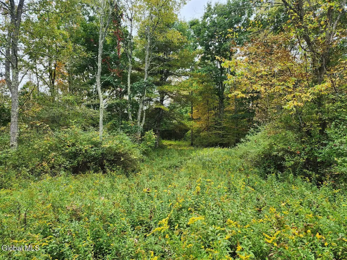 L15.4 Bogtown Road, Hebron, NY 12865 - #1