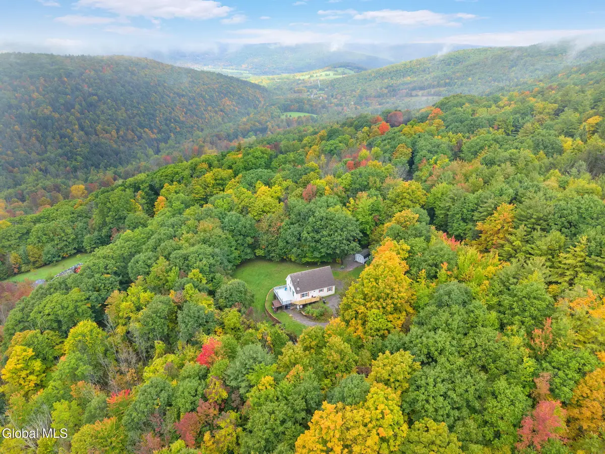 200 High Pine Meadows Road, Middleburgh, NY 12122 - #1