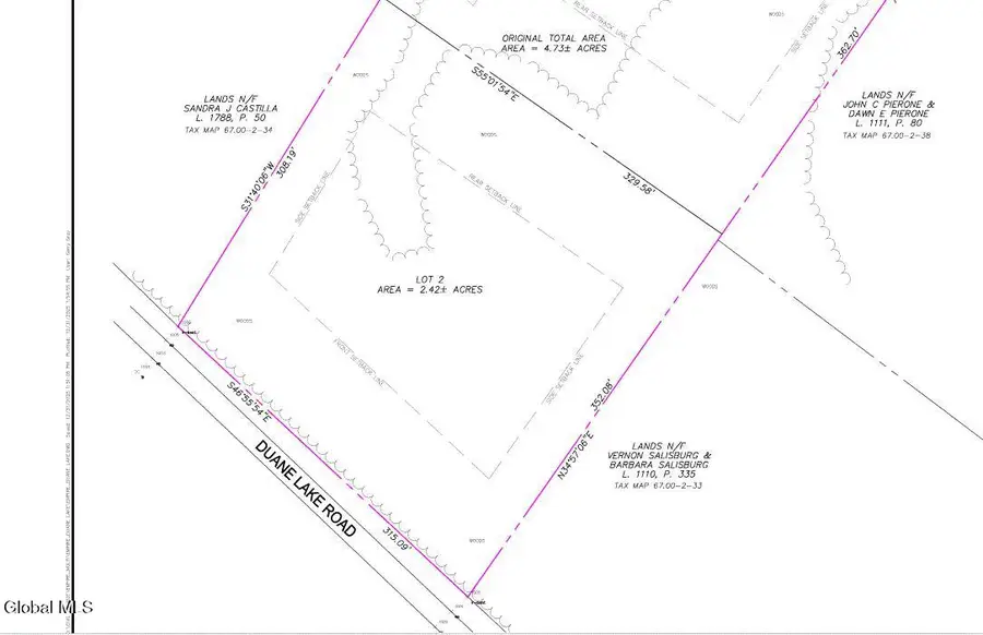 L51 Duane Lake Road, Duanesburg, NY 12056 - #3