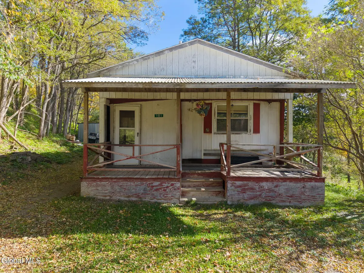 101 Clapper Hollow Road, Charlotteville, NY 12036 - #1