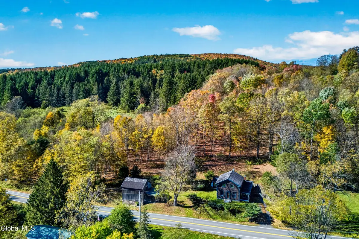 737 Charlotte Valley Road, Charlotteville, NY 12036 - #1