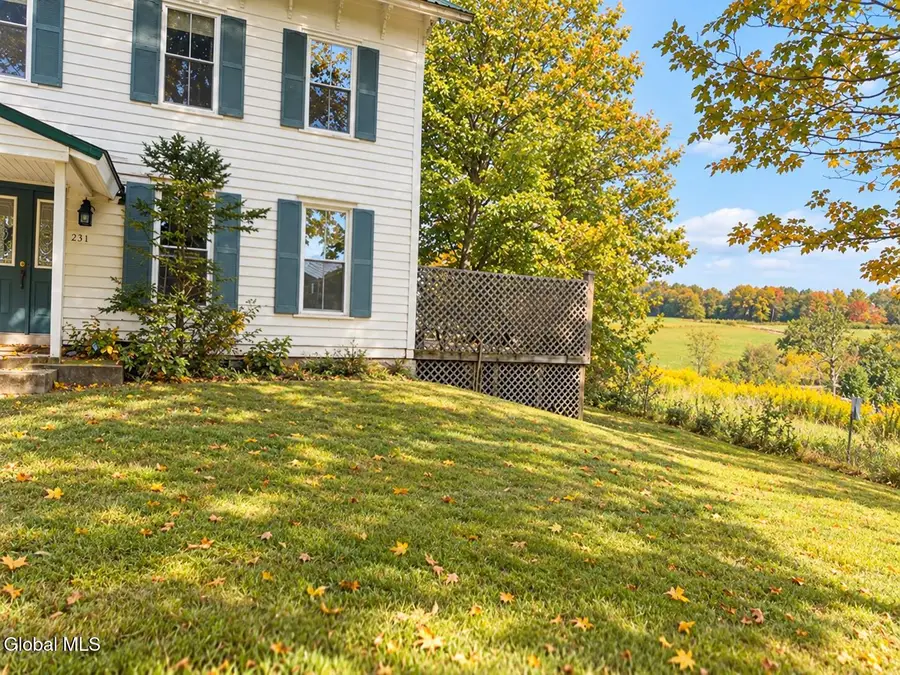 234 Wilcox Road, Harpersfield, NY 13786 - #3