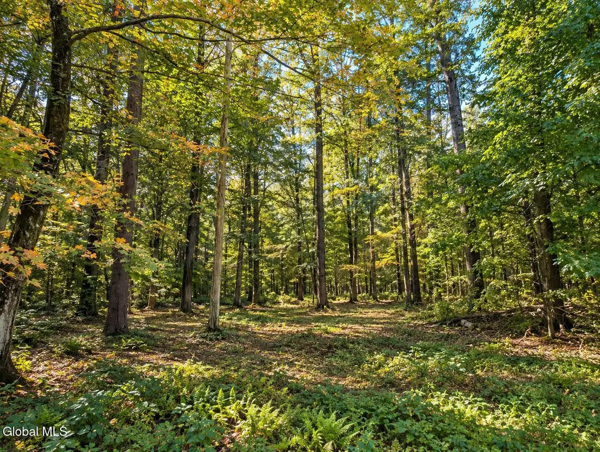 Lot 2 Massachusetts 41, Richmond, MA 01254 - #1
