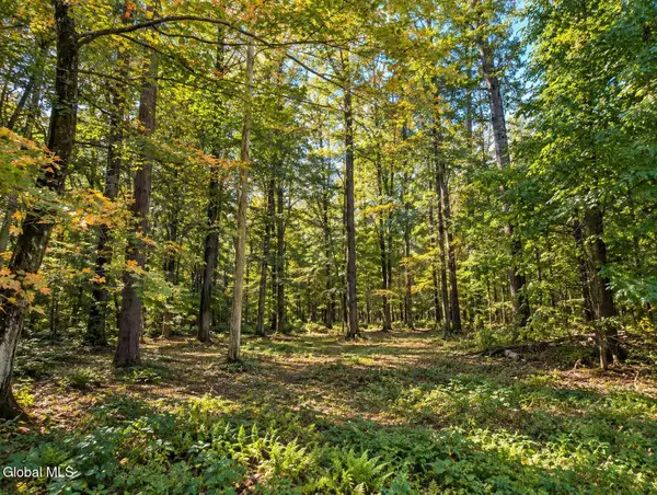 Lot 2 Massachusetts 41, Richmond, MA 01254