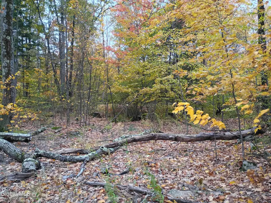 L29.13 Fire Tower Road, Grafton, NY 12138 - #2